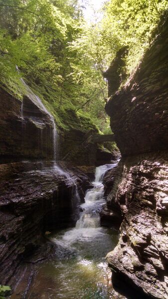 File:Watkins Glen.jpg